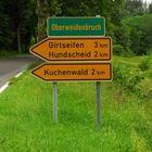 Hier geht's zum Kuchenwald!