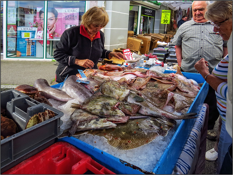 Hier gibt es ein paar feine Fische ...