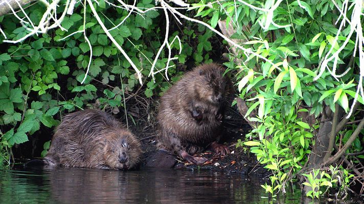 Hier gönnten sie mir.....