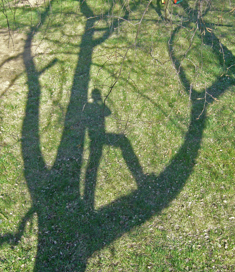 Hier habe ich mich vom Baum aus fotografiert