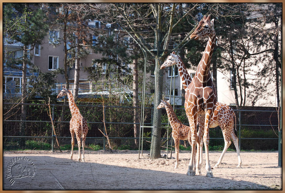 Hier haben einige Kölner................