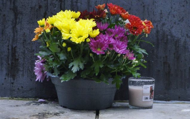 Hier haben wir die Blomen stehen gelassen