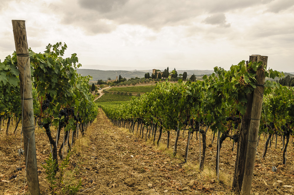 Hier hängt der neue Chianti...