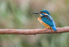 "Hier hätt ich noch was von der 'STANGE'