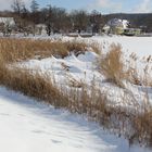 hier hat der Wind den Schnee übers Wasser an Land geweht