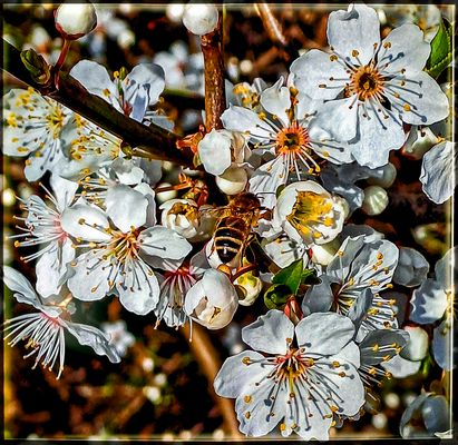 HIER HAT SIE IHR PARADIES GEFUNDEN.....