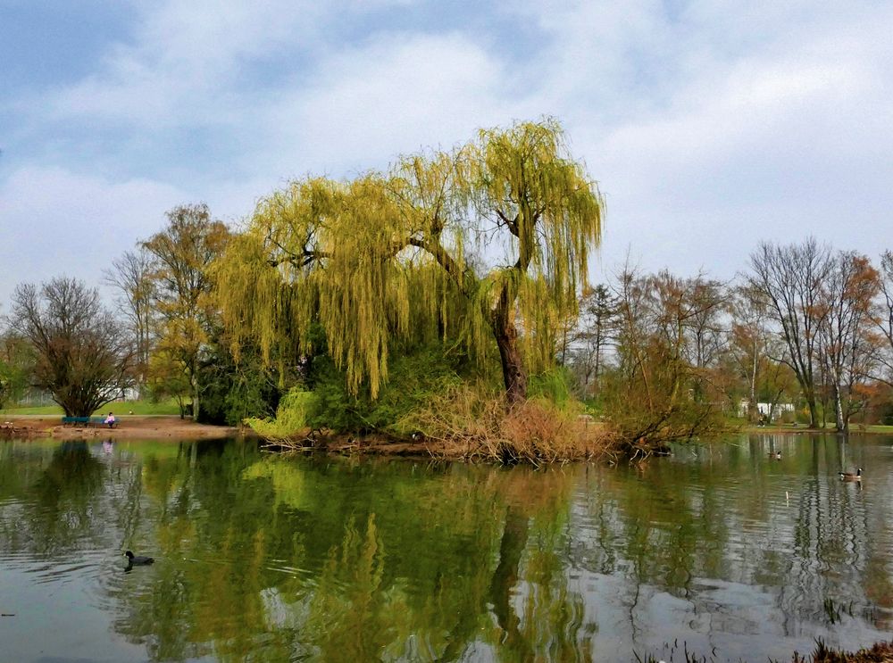 Hier im Düsseldorfer Zoopark Foto &amp; Bild natur