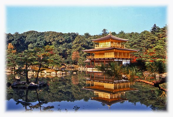 HIER IST ALLES GOLD WAS GLÄNZT...