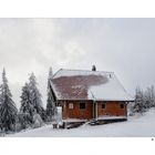 Hier ist das Holz neben der Hütte ...