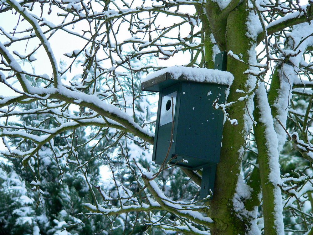 Hier ist eine Winterwohnung frei