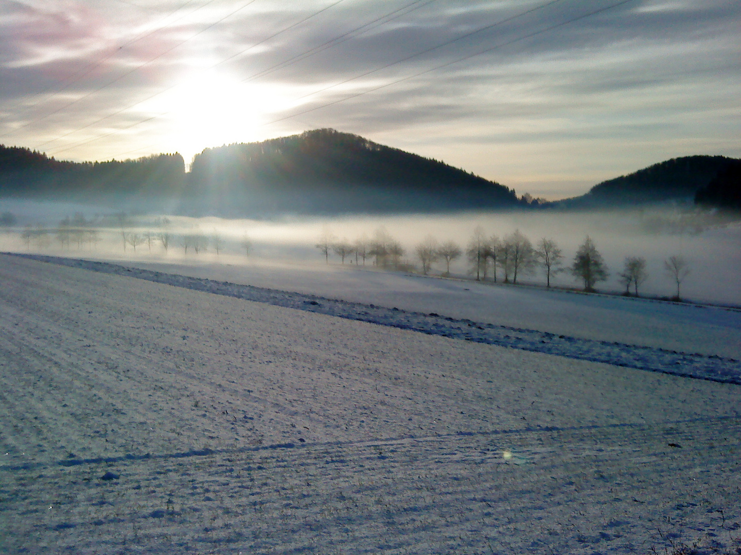 Hier ist Erlkönig zu Hause