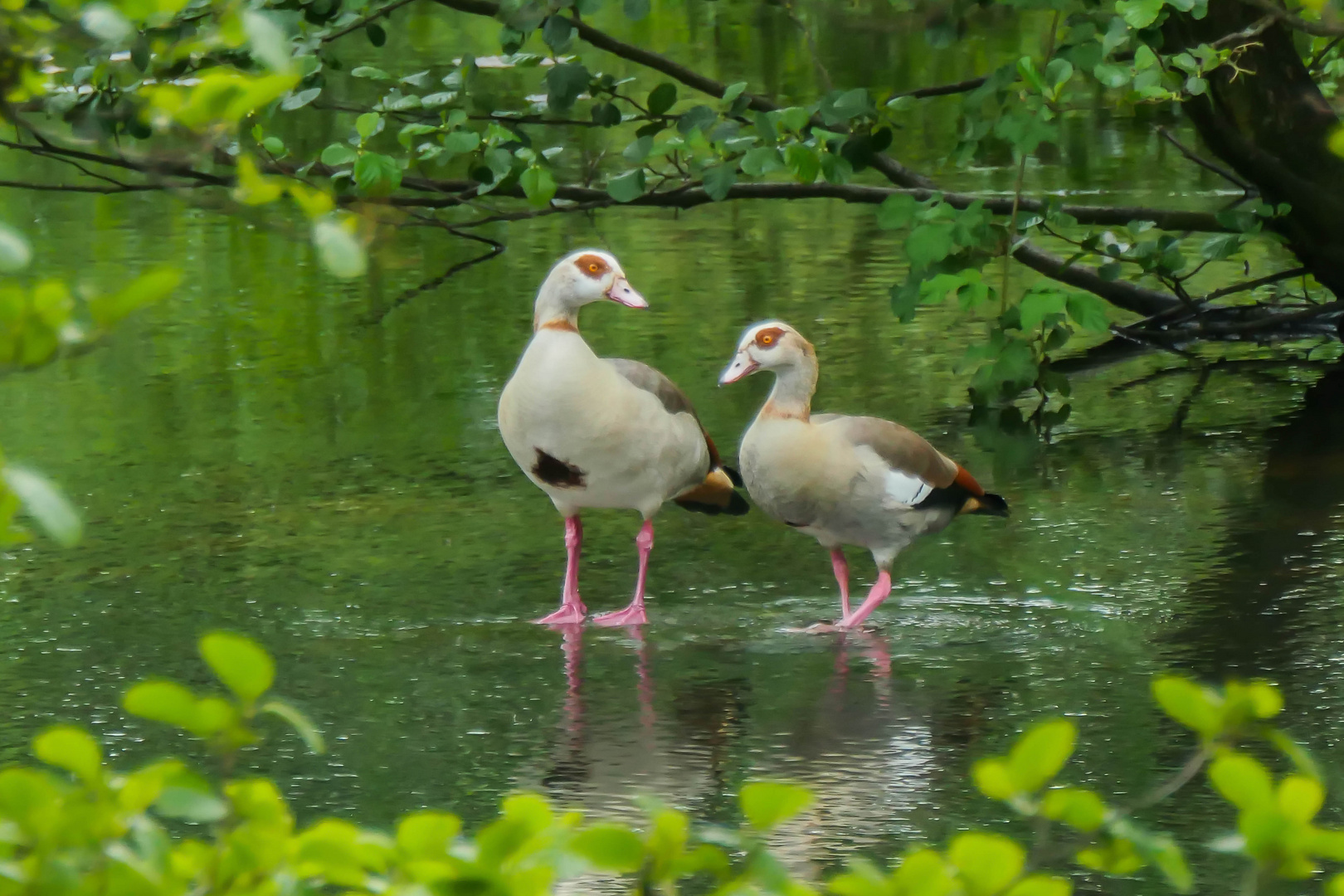 Hier ist es schön, hier bleiben wir