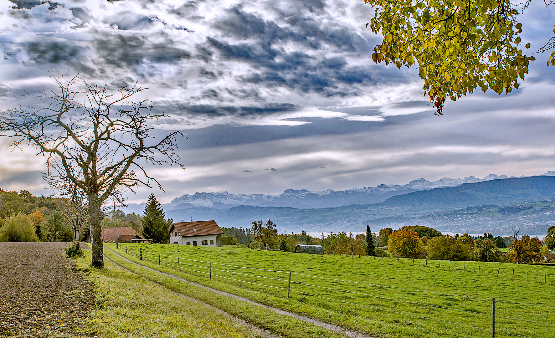 Hier ist etwas im Anzug