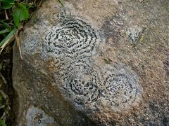 Hier ist nochmal die Flechte als Ganz-Aufnahme für Schwabenstreich und 2x Ulrich!