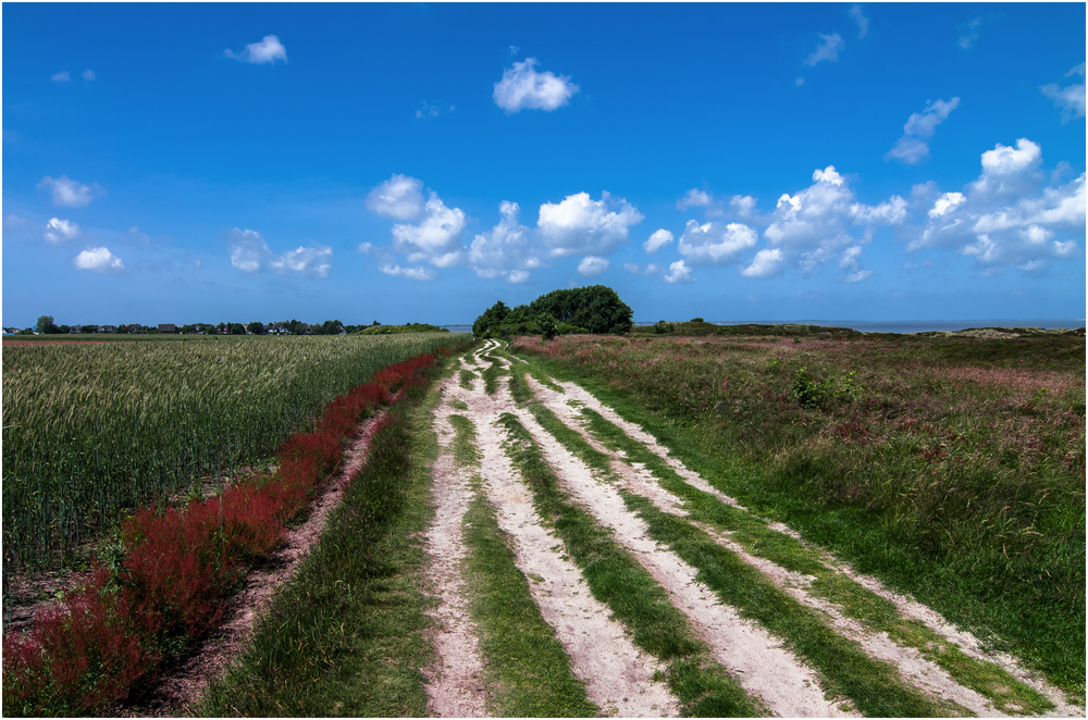 Hier ist Sylt ...