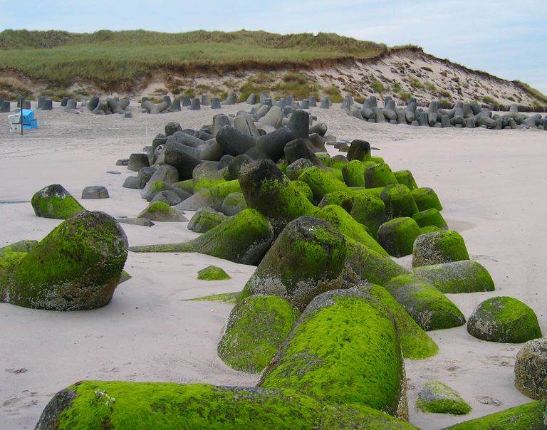 Hier kegelt die Nordsee