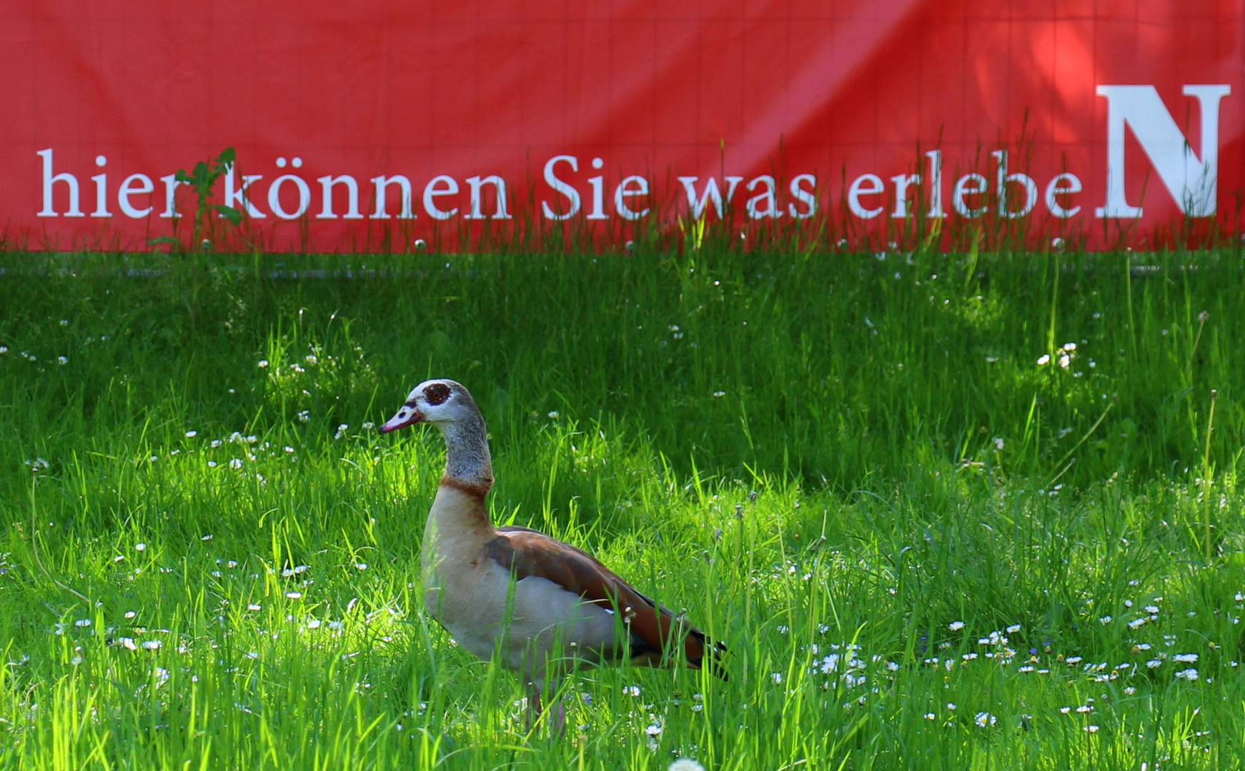 Hier können Sie was erleben