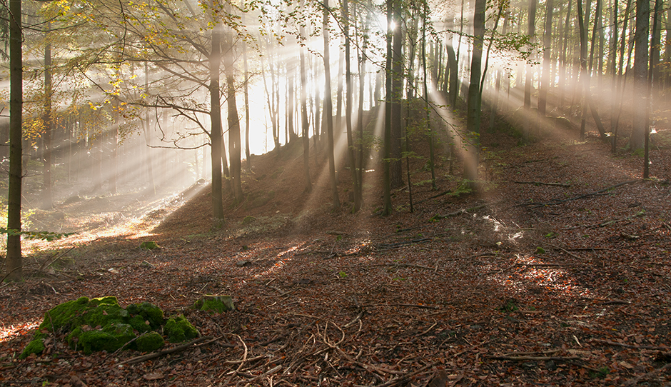 Hier kommt das Licht