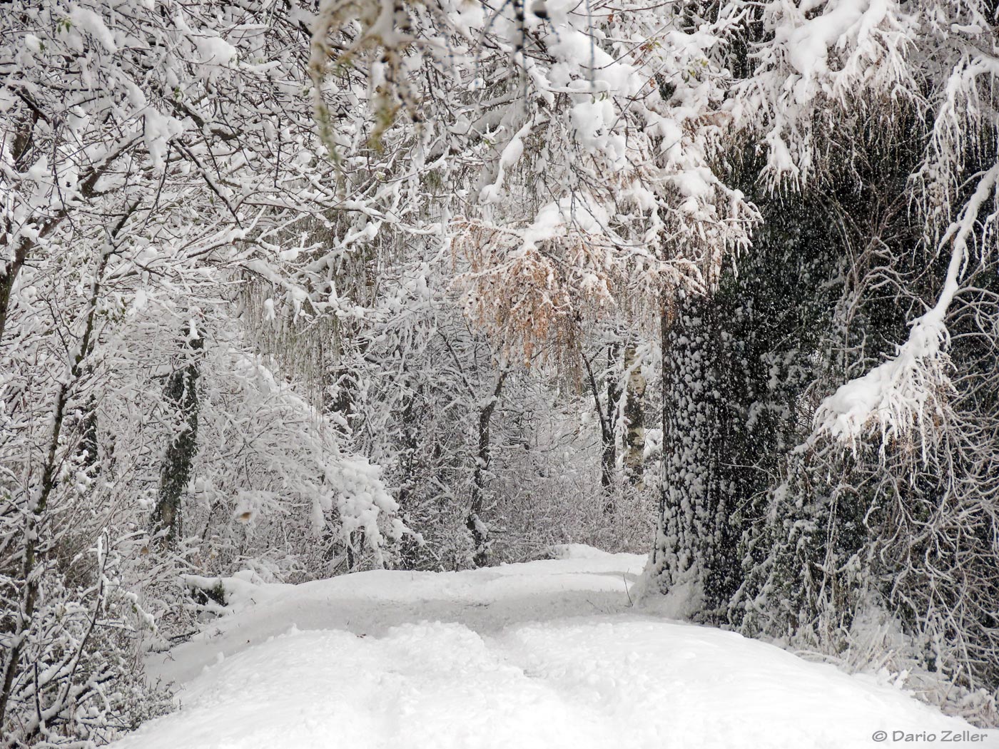 Hier kommt der Winter