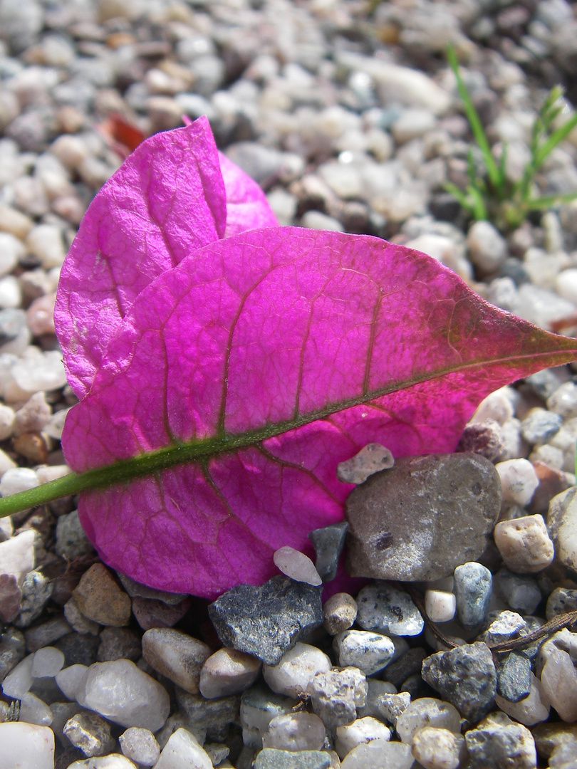 hier kommt Farbe ins Grau