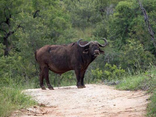 Hier kommt keiner vorbei
