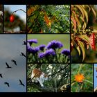 hier kommt meine Herbstcollage aus der Altmark