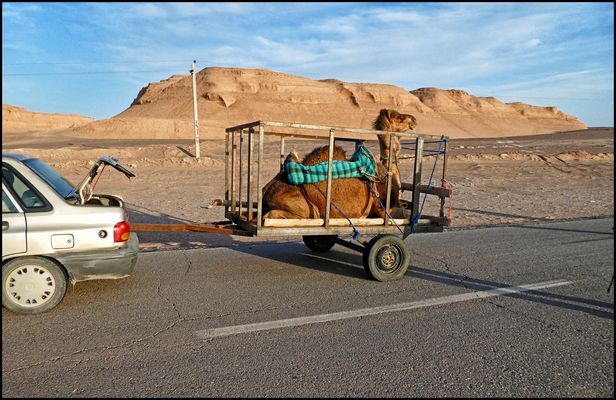 HIER KONNTE ICH GRAD NOCH DEN AUSLÖSER DRÜCKEN....
