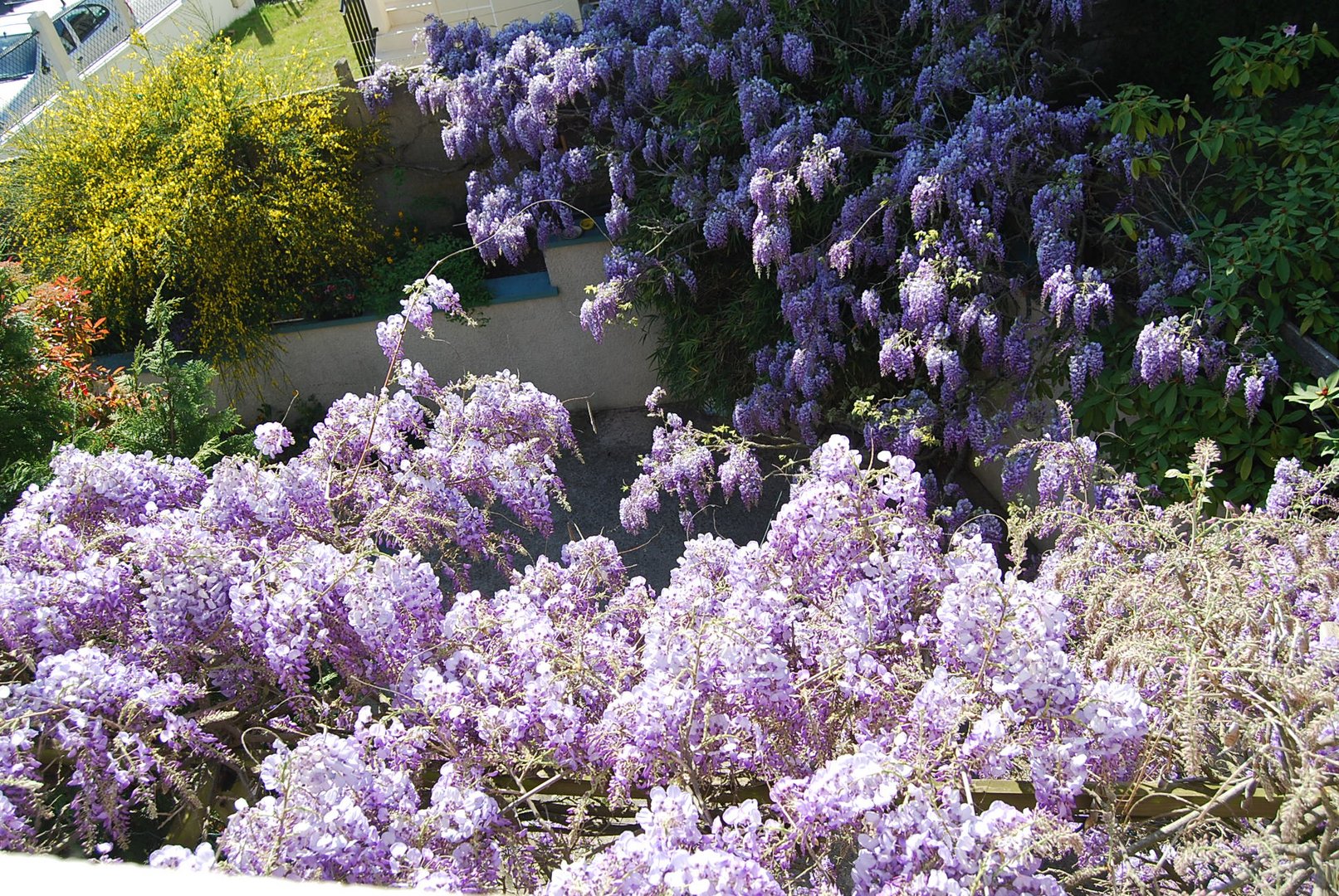 hier la blanche ce jour la bleue