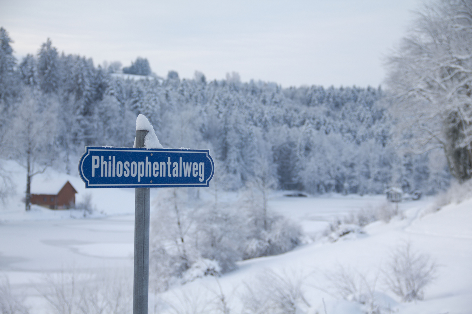 Hier lässt sich trefflich nachdenken