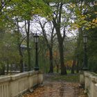 hier, l'automne berçait encore le parc d'Ostende