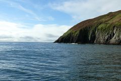 Hier lebt Fungie, der Delphin (Dingle Bay)