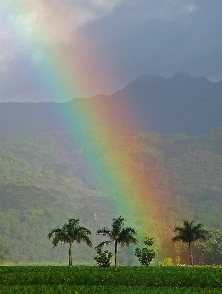 Hier liegt das Gold am Ende des Regenbogens