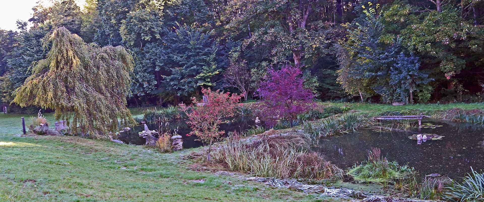 46+ Bilder Kleine Teiche, Der traum von einem eigenen teich muss