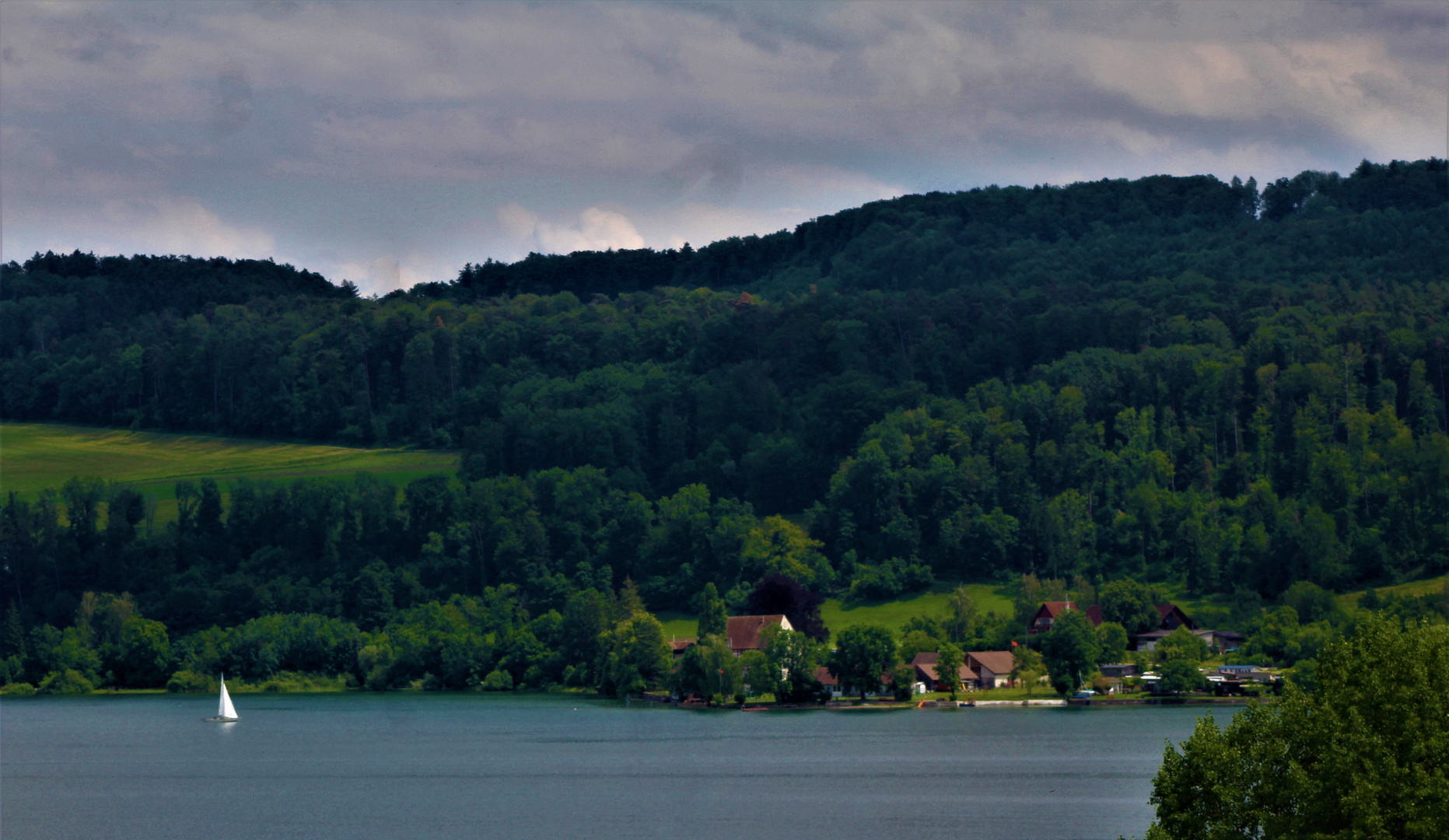 hier noch einmal die Höri am Bodensee