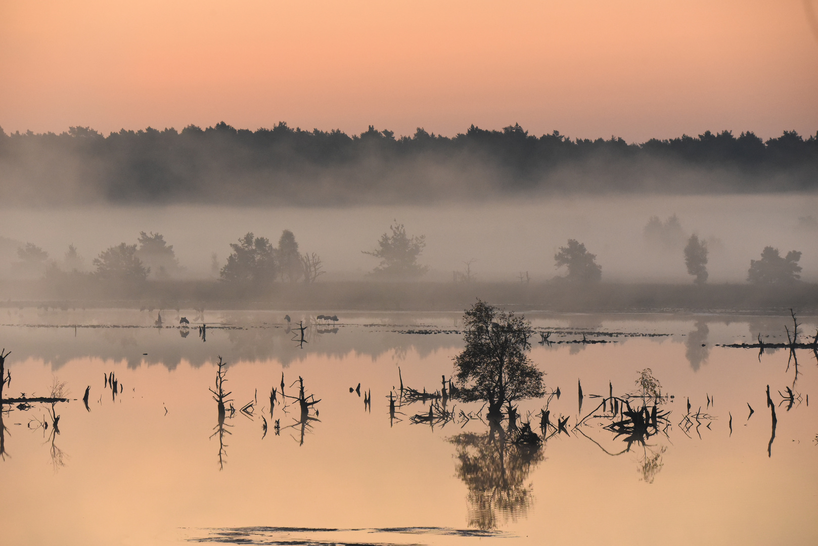 Hier nochmal das Tiester Bauernmoor