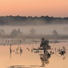 Hier nochmal das Tiester Bauernmoor