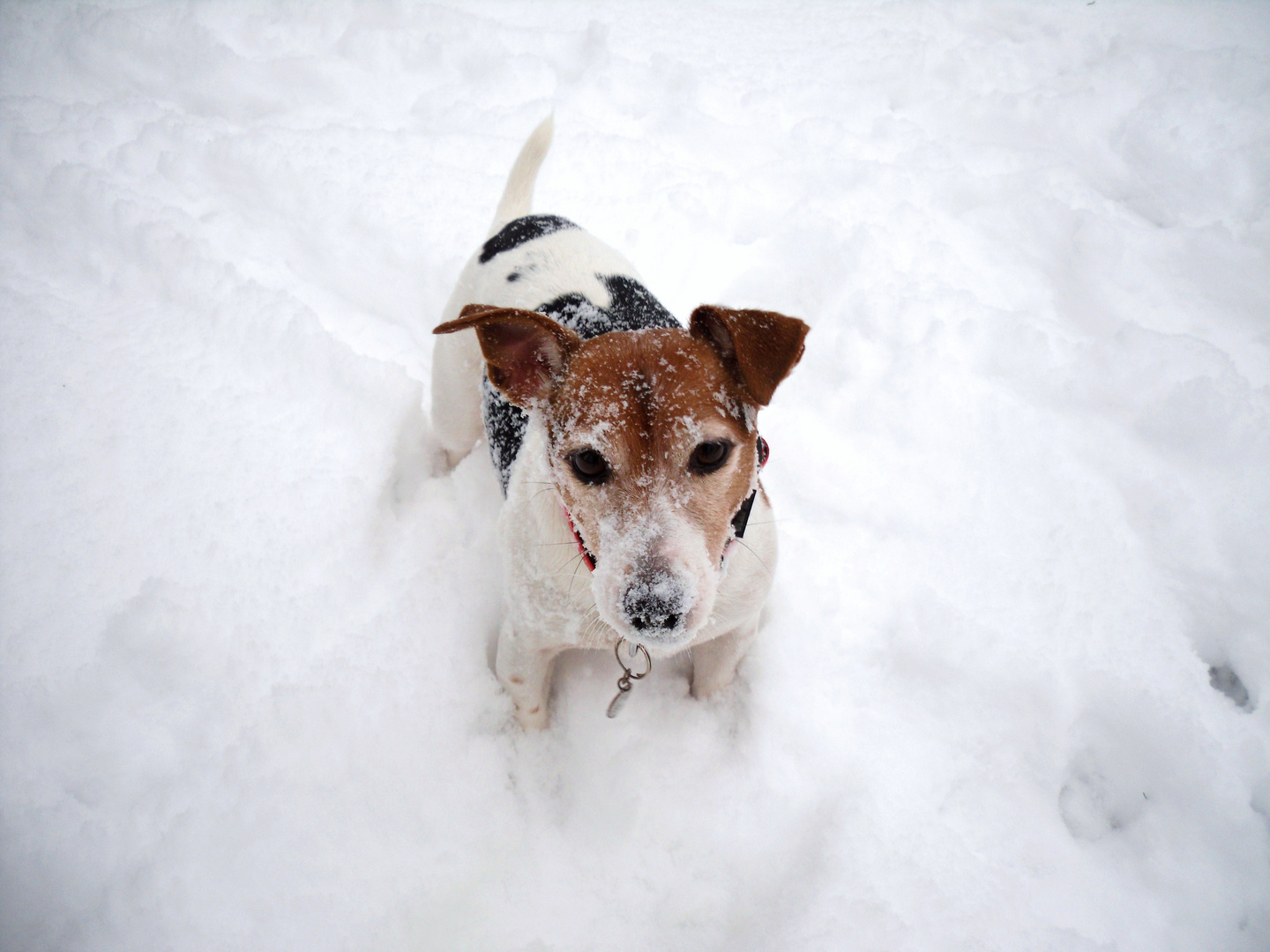 Hier nochmals Winterfeeling..