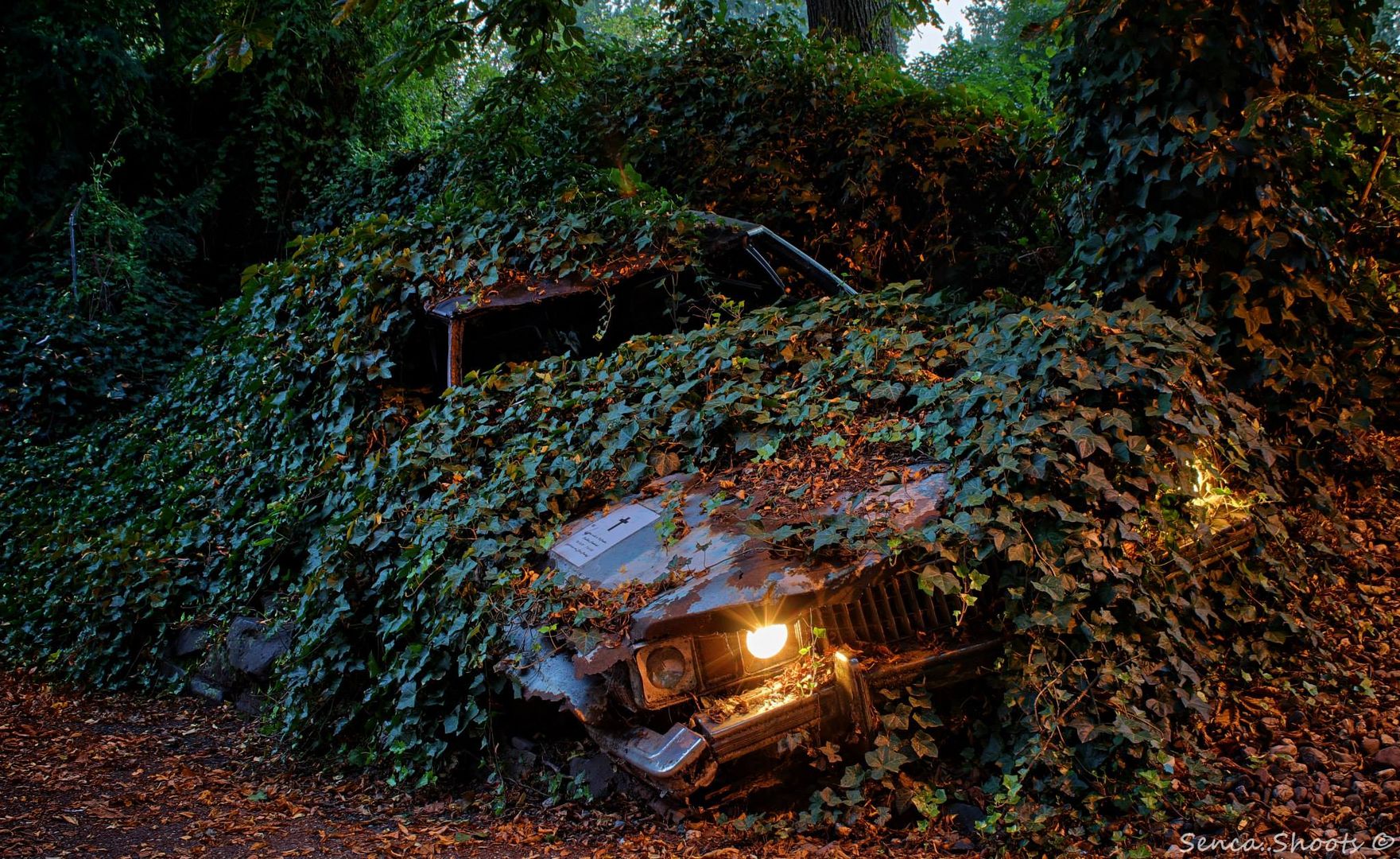 Hier ruht in Unfrieden Cadillac Fleetwood, 25.10.72 - 16.9.83, gefahren von Elvis Presley