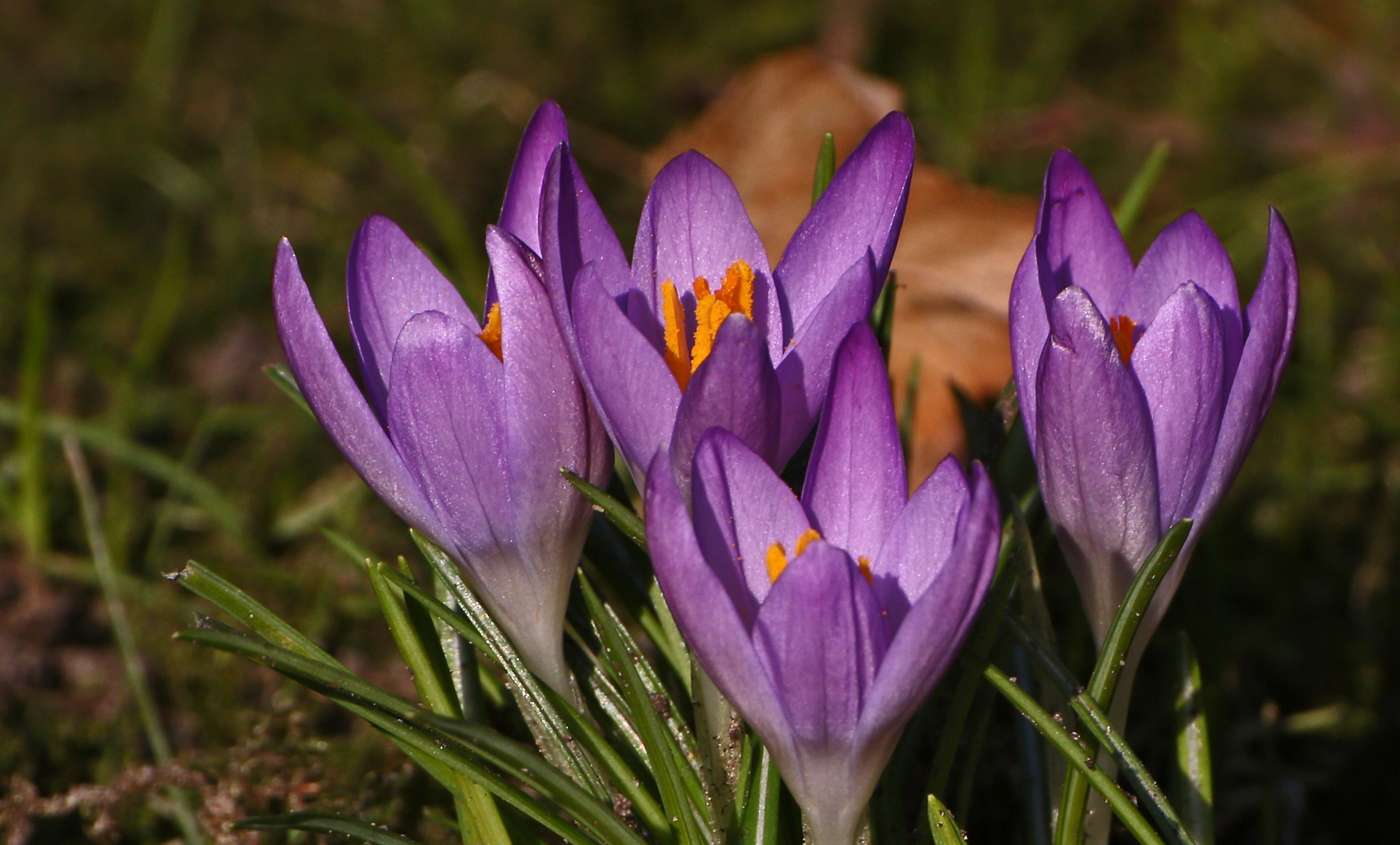 Hier scheint der Frühling angekommen