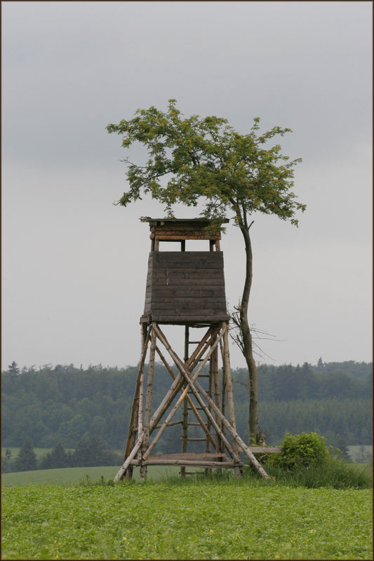 Hier schießt Franz