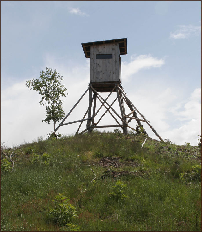 Hier schießt Friedel