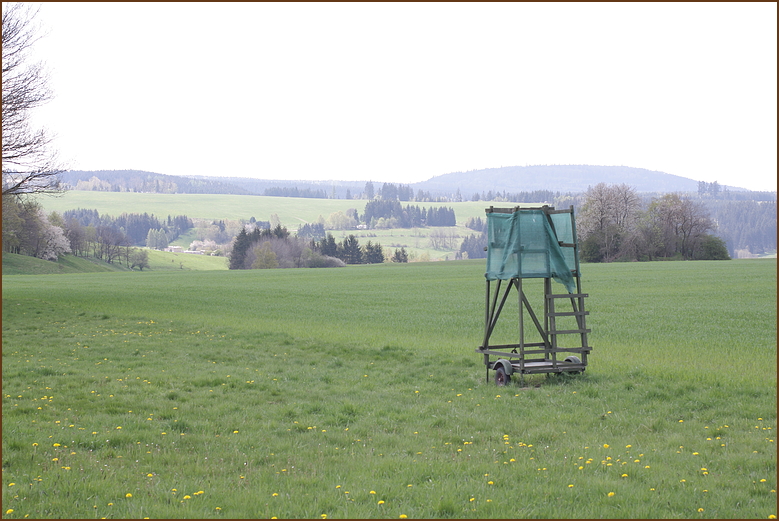 Hier schießt Gerd