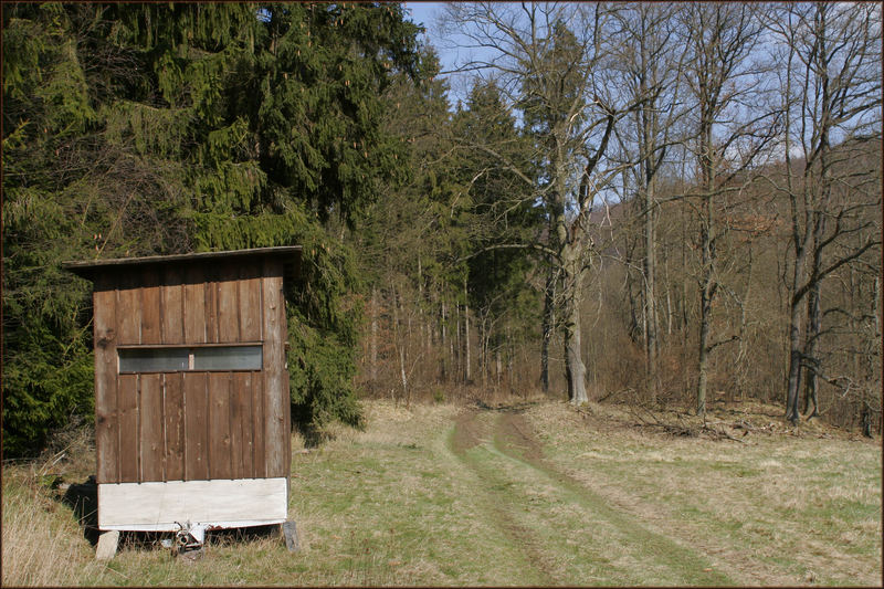 Hier schießt Peer