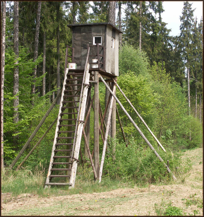 Hier schießt Rainer