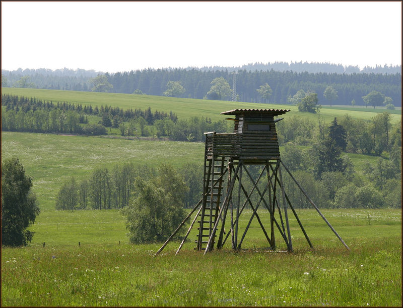 Hier schießt Ron