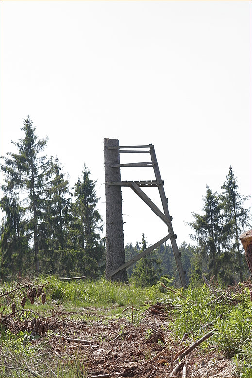 Hier schießt Willibald