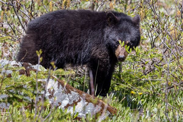 Hier sieht sie mich bestimmt nicht :-)