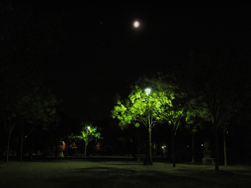 Hier soir sur le champs de Mars