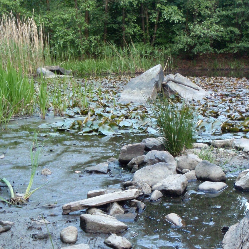 Hier sollte um diese Jahreszeit noch viel mehr Wasser sein ...