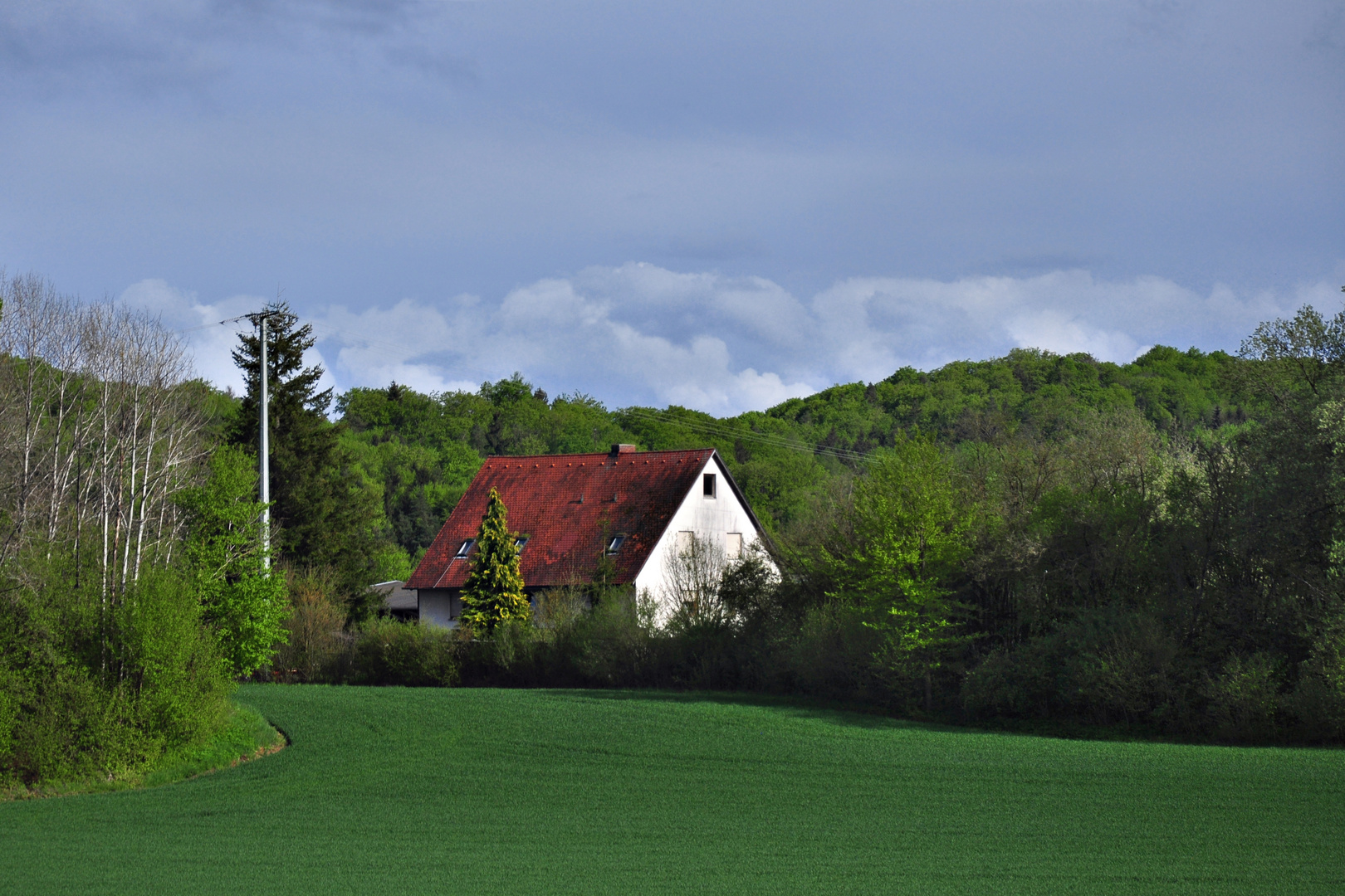 Hier steh ich, und ich kann nicht anders.........